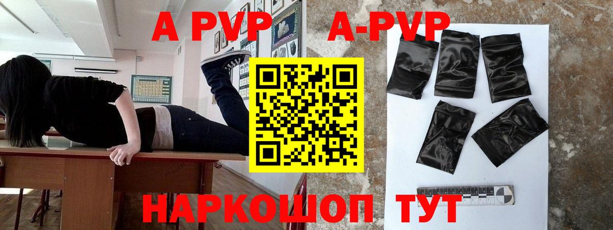 Альфа ПВП СК КРИС Гусиноозёрск